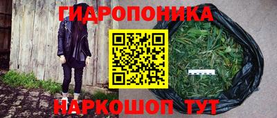 молекула духа Бузулук