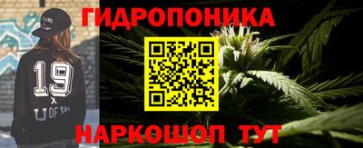 молекула духа Бузулук