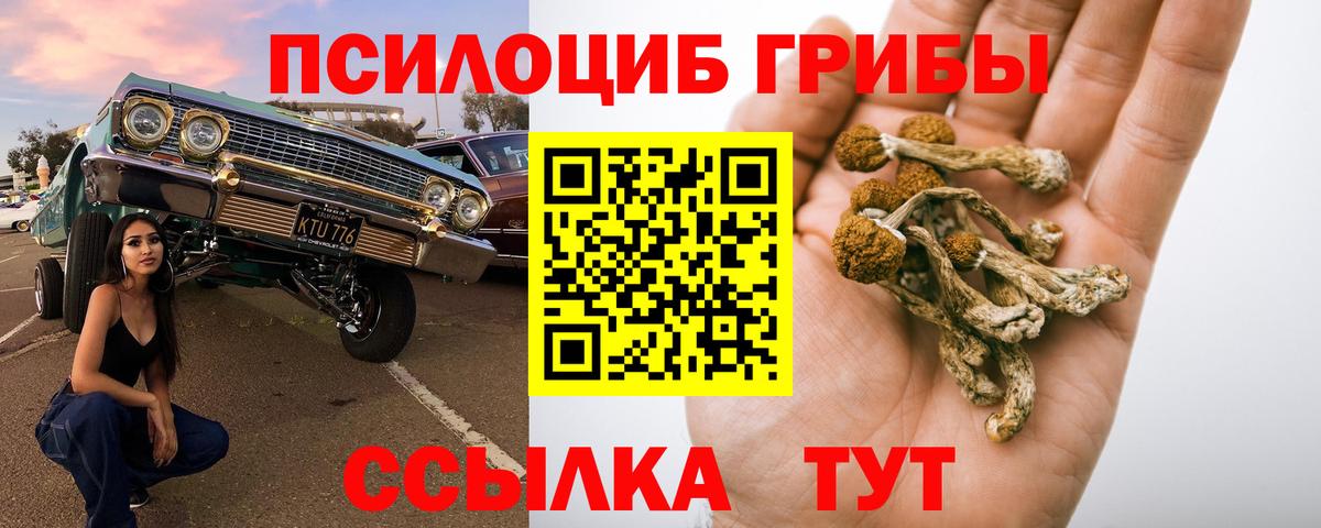 Озёры  Псилоцибиновые грибы GOLDEN TEACHER  Вход с VPN 