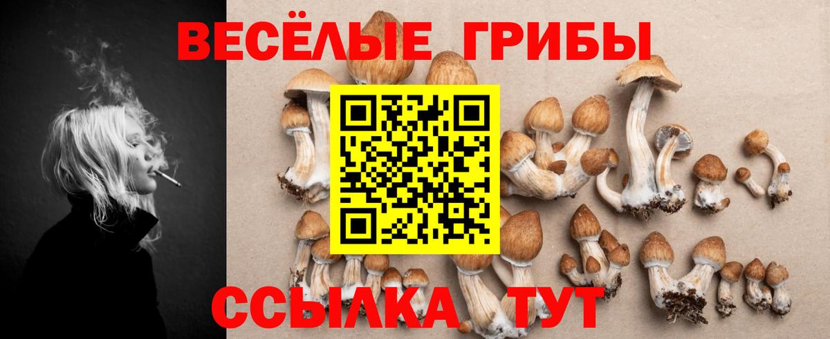 Псилоцибиновые грибы мицелий Озёры